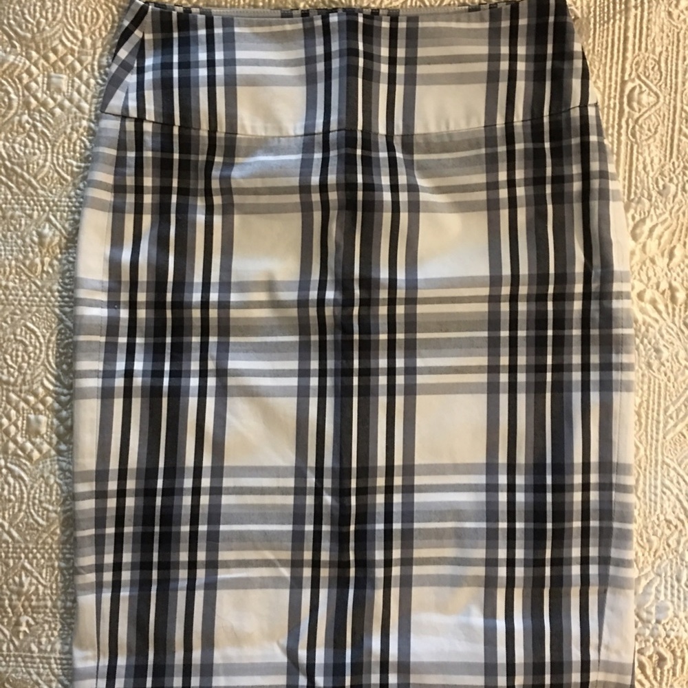 Pencil skirt